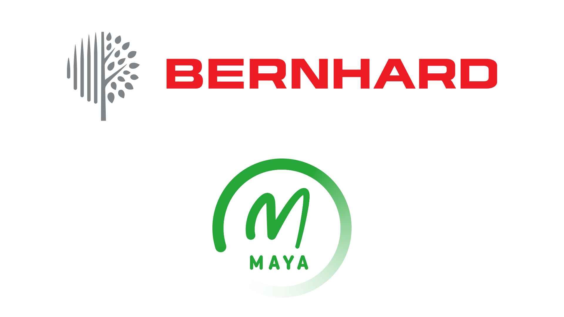 Maya Global Partners with Bernhard and Company